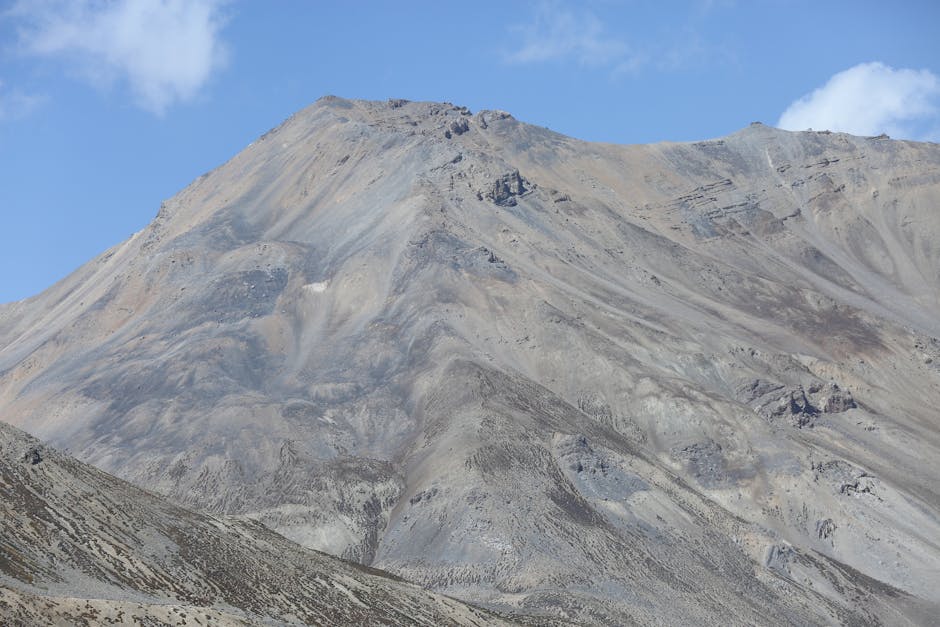 BigBong og Bolognese triumferer med 166 points i dramatisk Fortnite-kamp